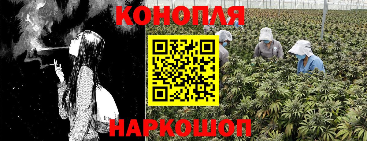 Канабис конопля  Конопля тримм  Вход с VPN  МАРИХУАНА ГИДРОПОН  Волхов  Бошки марихуана планчик 
